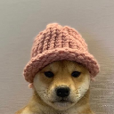 icon - dogwifhat