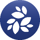 icon - NKN
